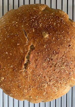 A picture of No-Knead Bread.