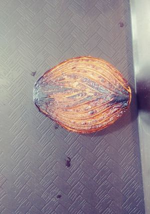 Una foto de Oignon bruleé