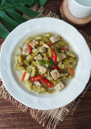 Foto resep Lodeh pare tempe