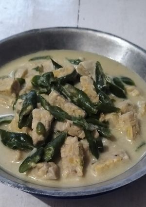 Foto resep Sayur Tempe Lombok Ijo Mommylicious