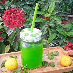 A picture of Mint Lemonade.