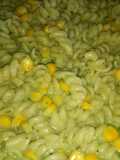 Mini fusilli spinach pasta in white sauce