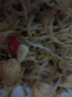 Foto resep Tumis Tauge Tahu #122