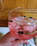 Gin tonic con tónica de hibisco
