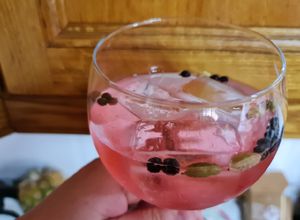 Foto principal de Gin tonic con tónica de hibisco