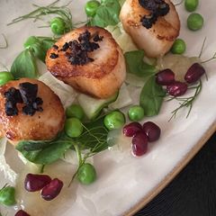 A picture of Scallops With A Black Pudding Crumb, Fennel & Cucumber Salad, Pea & Pea Shoots And Apple Purée.