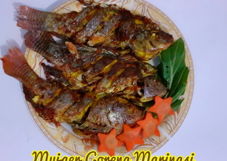 Mujaer Goreng Marinasi