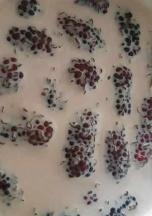 รูปของ Flavouring/2nd Culturing Kefir Milk วิธีปรับรสแต่งกลิ่นนมคีเฟอร์