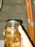 Hongos en conserva