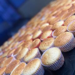 A picture of Cupcake.