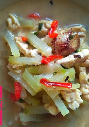 Foto resep Labu siam kuah santan