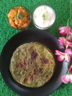 પાલક પરાઠા (Palak Paratha Recipe In Gujarati) રેસીપી મુખ્ય ફોટો
