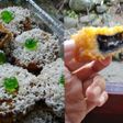 Oreo krispy