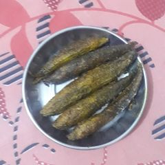 A picture of Fried karela.