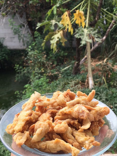 Foto resep Jamur Crispy