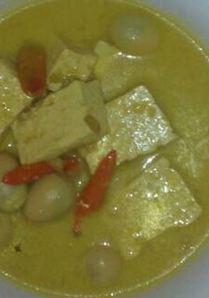 Foto resep Tahu Telor Puyuh Kuah Santan