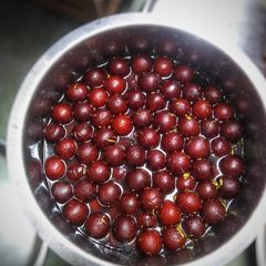A picture of Gulab jamun.