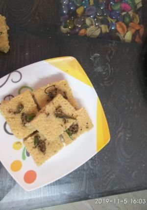 A picture of Oats dhokla.