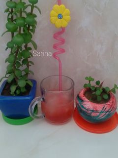 عکسی از دستور یخ در بهشت🍹