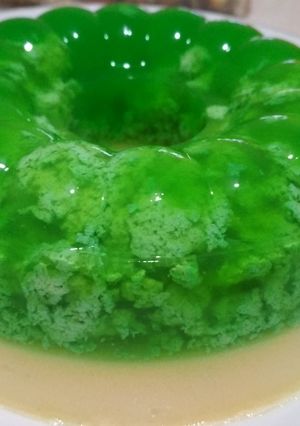 Foto resep Puding Lumut mentega Low carbo, sugar free