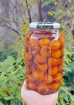 عکسی از دستور آب کونوس