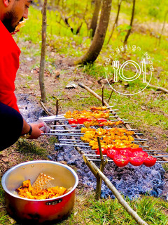 عکسی از دستور جوجه کباب ۱۳ بدر🌳🌱