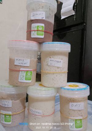 Foto resep Resep Dasar Sourdough Starter Terigu (Ragi Alami)