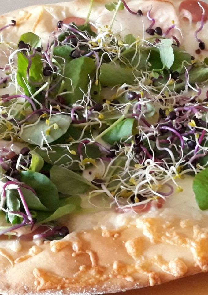 Una foto de Base de pizza