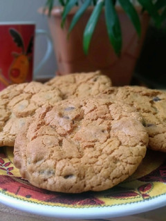 Foto de Cookies Crocantes Com Gotas de Chocolate