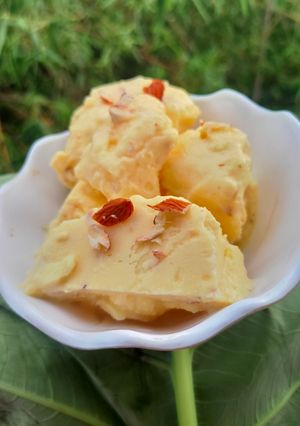 A picture of Almonds Vanilla Custard Kulfi.