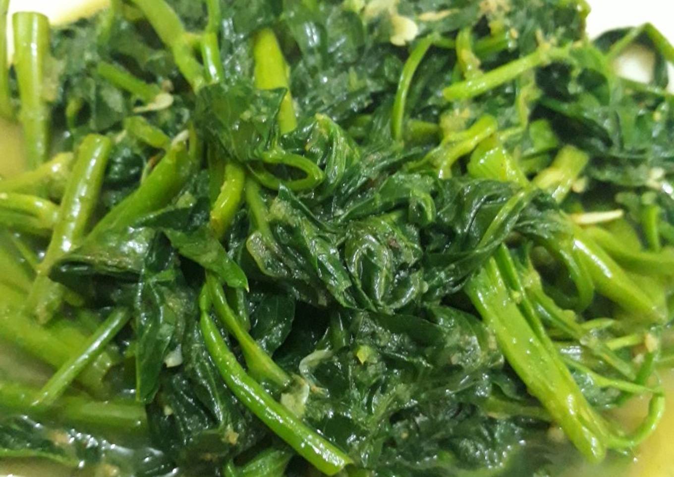 Kang Kongov kvas