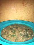 Gwaten acha