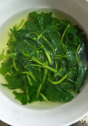 Foto resep Sayur bening selada air