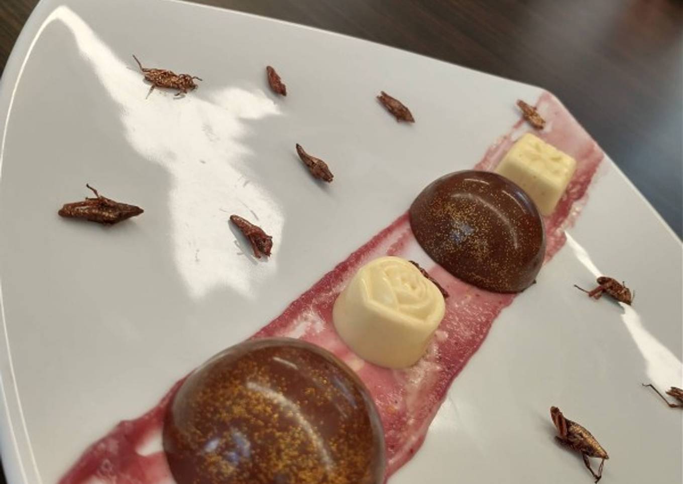 Bombones de chocolate rellenos de chapulín