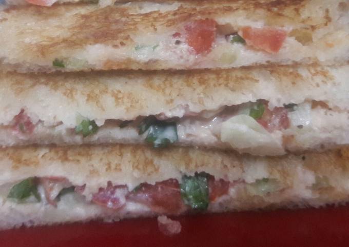 Hung curd veggie sandwich