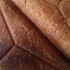 A picture of Cheese sandwich.