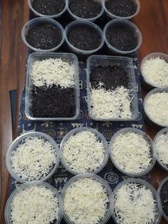 Foto resep Brownis lumer