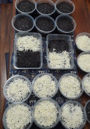 Foto resep Brownis lumer