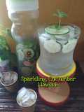 Sparkling Cucumber Limeade🇮🇪
