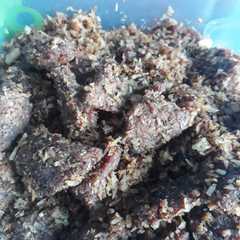 รูปของ Dendeng ragi