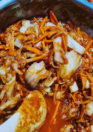 Foto resep Kimchi home made