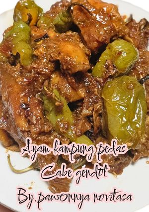 Foto resep Ayam kampung pedas cabe gendot