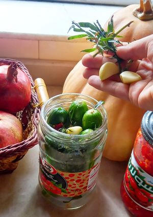 عکسی از دستور خیارشور ترد تو دو✌️ساعت آماده کن