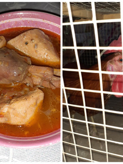 A picture of Desi Murgh Salan.