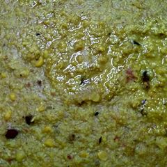 A picture of Khichdi for bhog prasad.