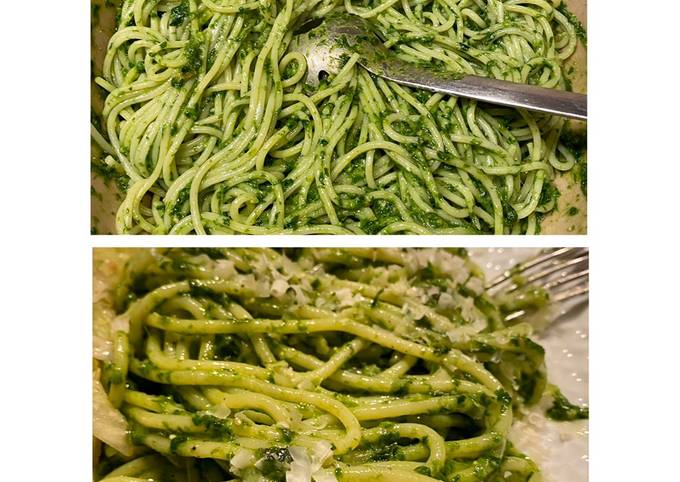 Fresh Wild Garlic Pesto