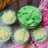 Buko Pandan Kental Creamy