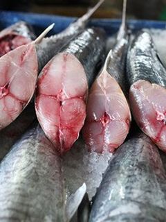 Hình của món Cá Thu File Sốt Cà.