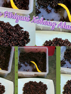 Foto resep Tape Ketan Hitam Sederhana No ribet, Dapur Fitri