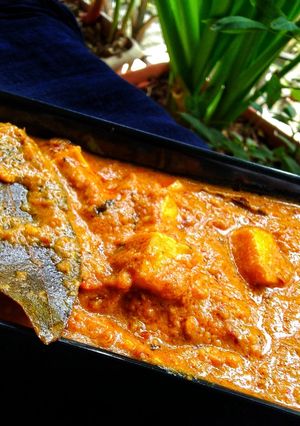 शाही पनीर (shahi paneer recipe in marathi) रेसिपी चे मुख्य फोटो 